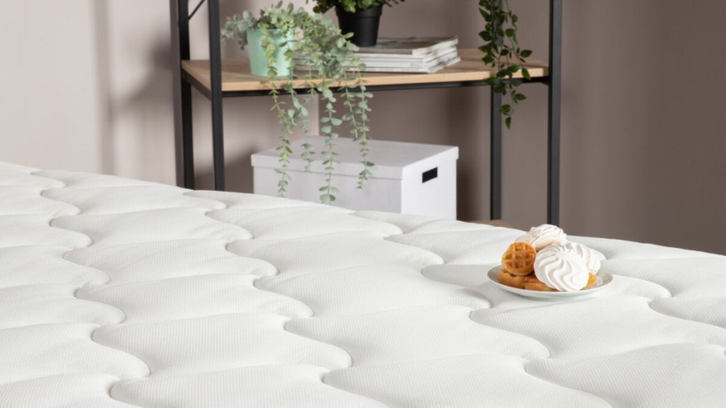 scale_1200 (2).jpg